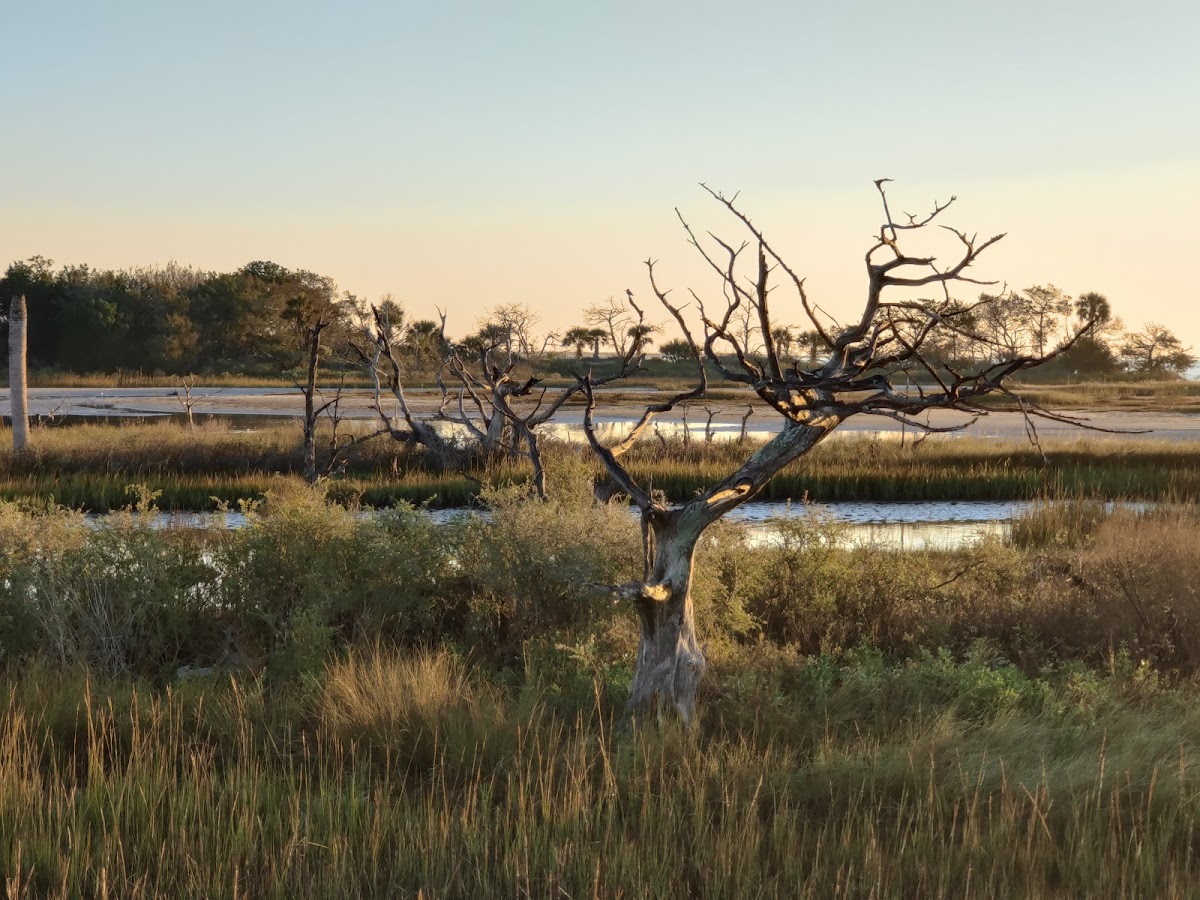 Birdwatch Station. Photo 8