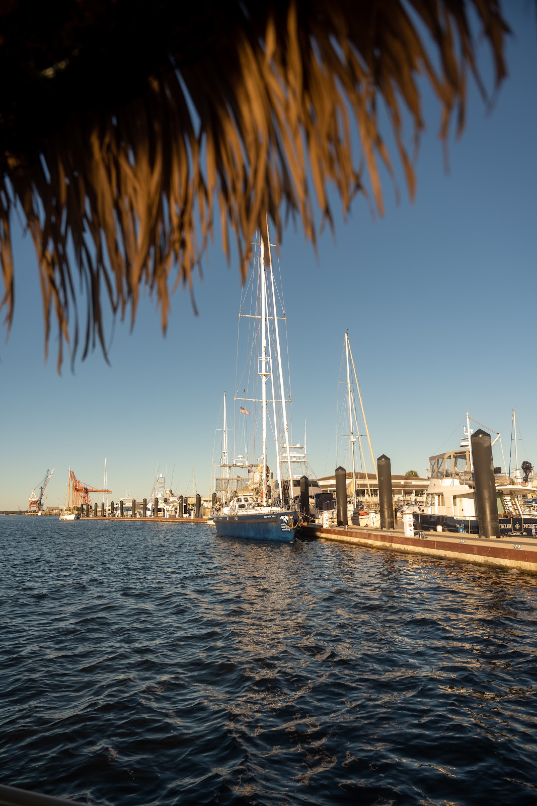 Cruisin Tikis Amelia Island Photo 5