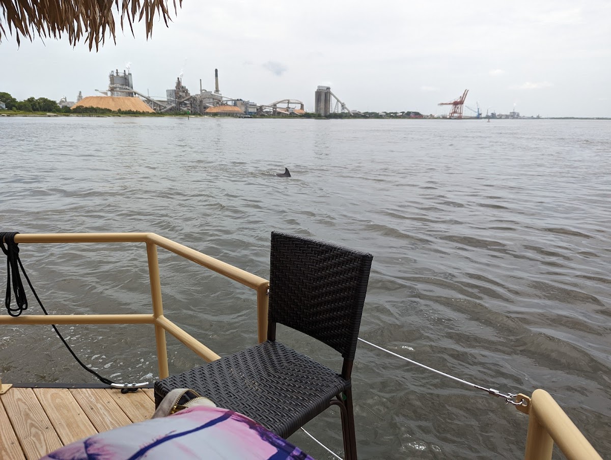 Cruisin Tikis Amelia Island Photo 8