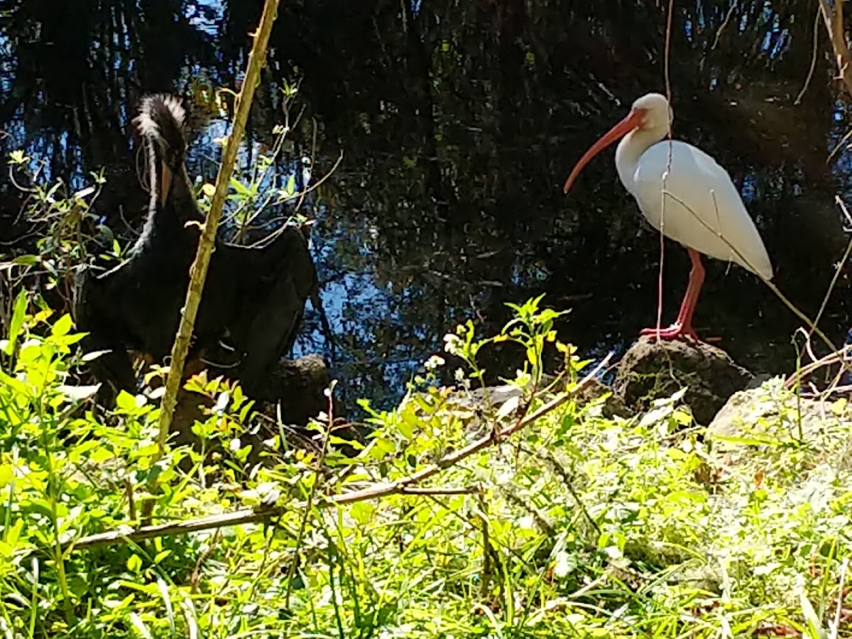 Egan's Creek Greenway Trail Photo 2