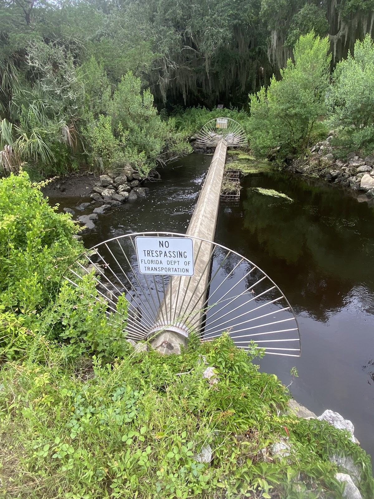 Egan's Creek Greenway Trail Photo 6