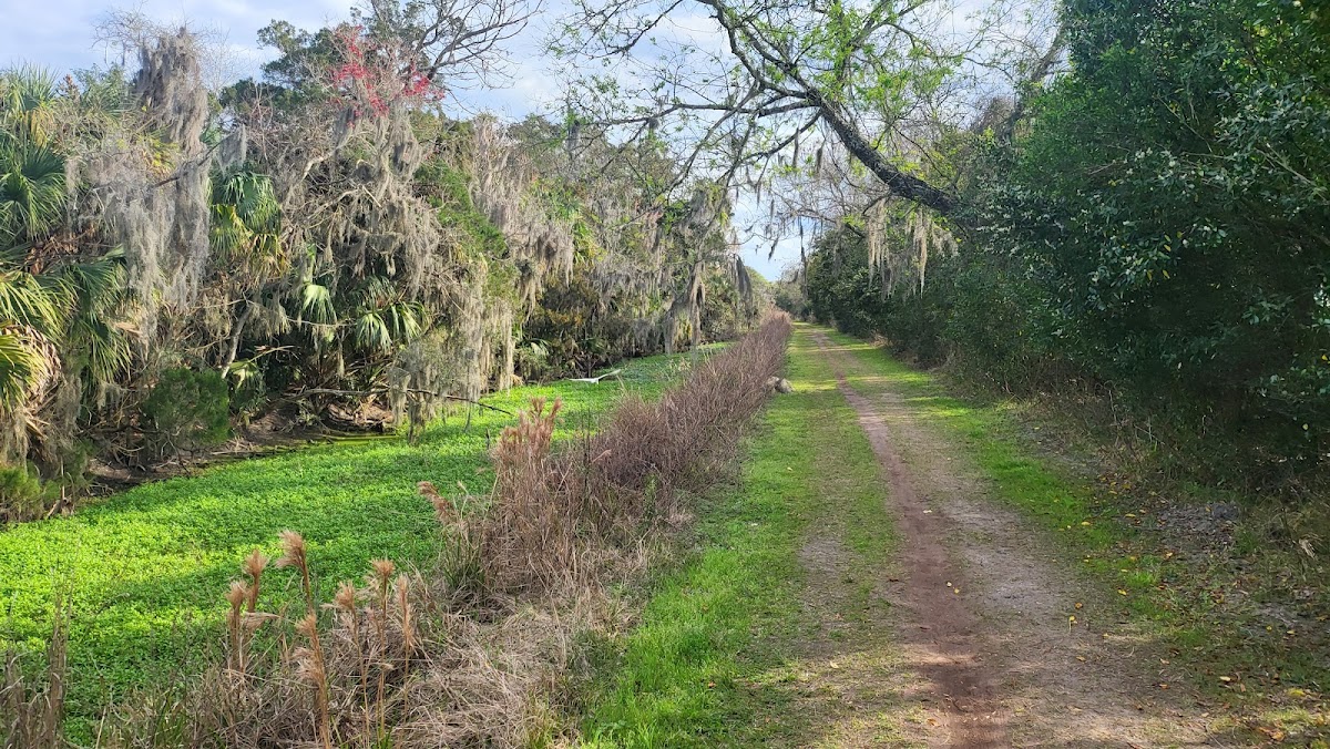 Egan's Creek Greenway Trail Photo 7