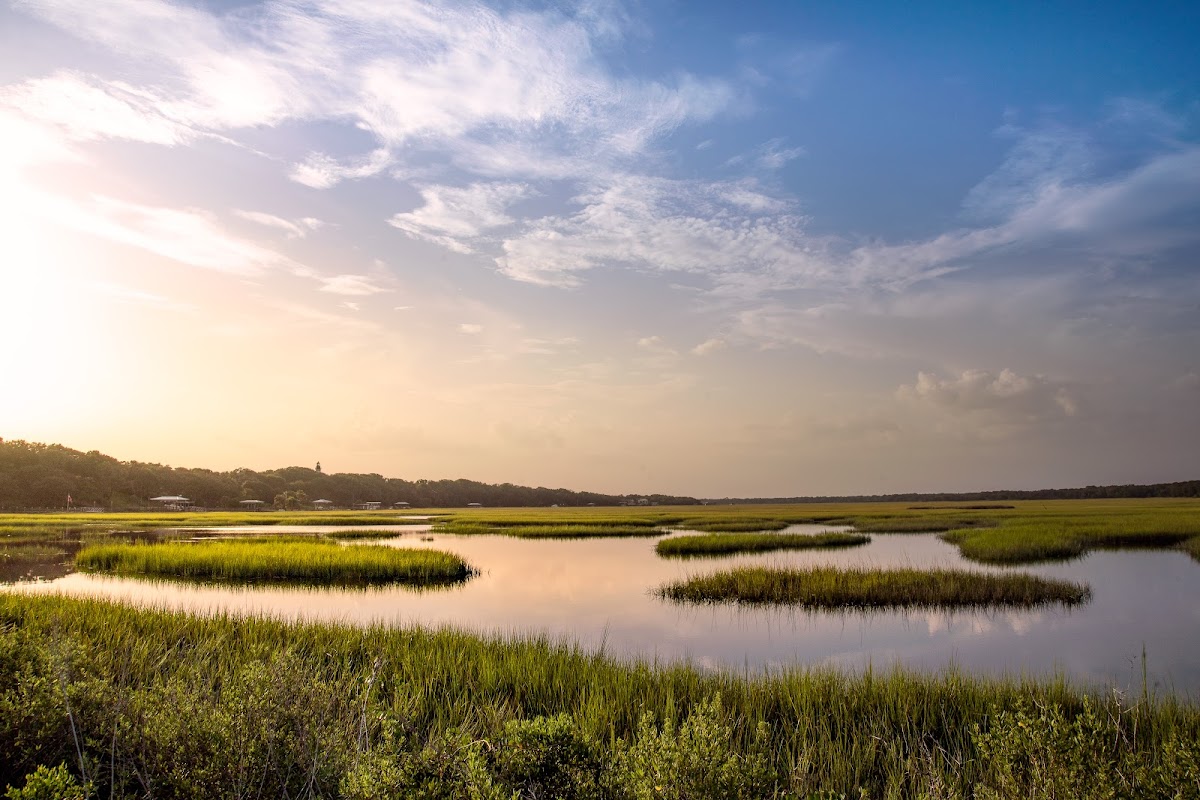 Egan's Creek Viewing Platform