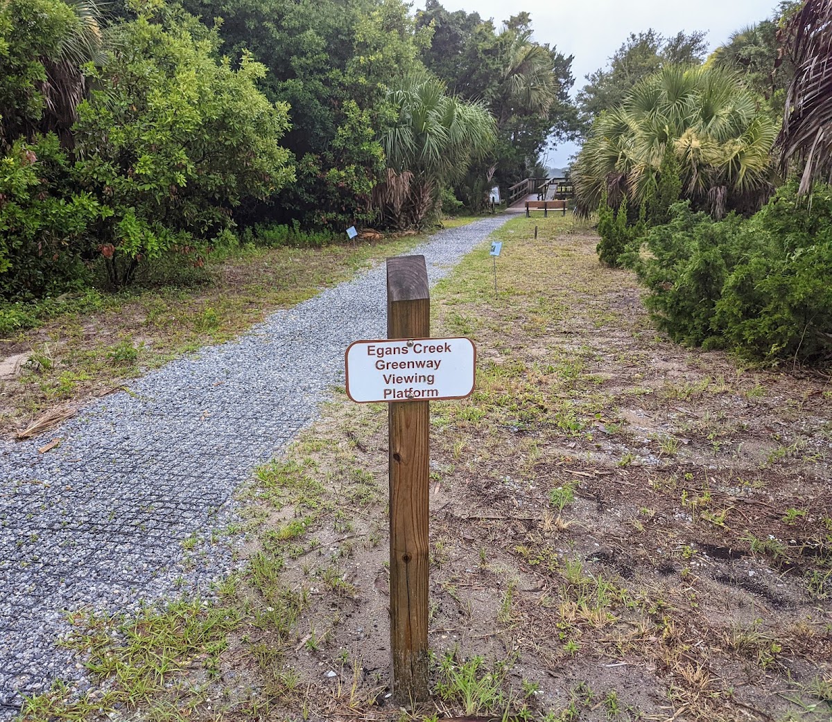 Egan's Creek Viewing Platform Photo 2