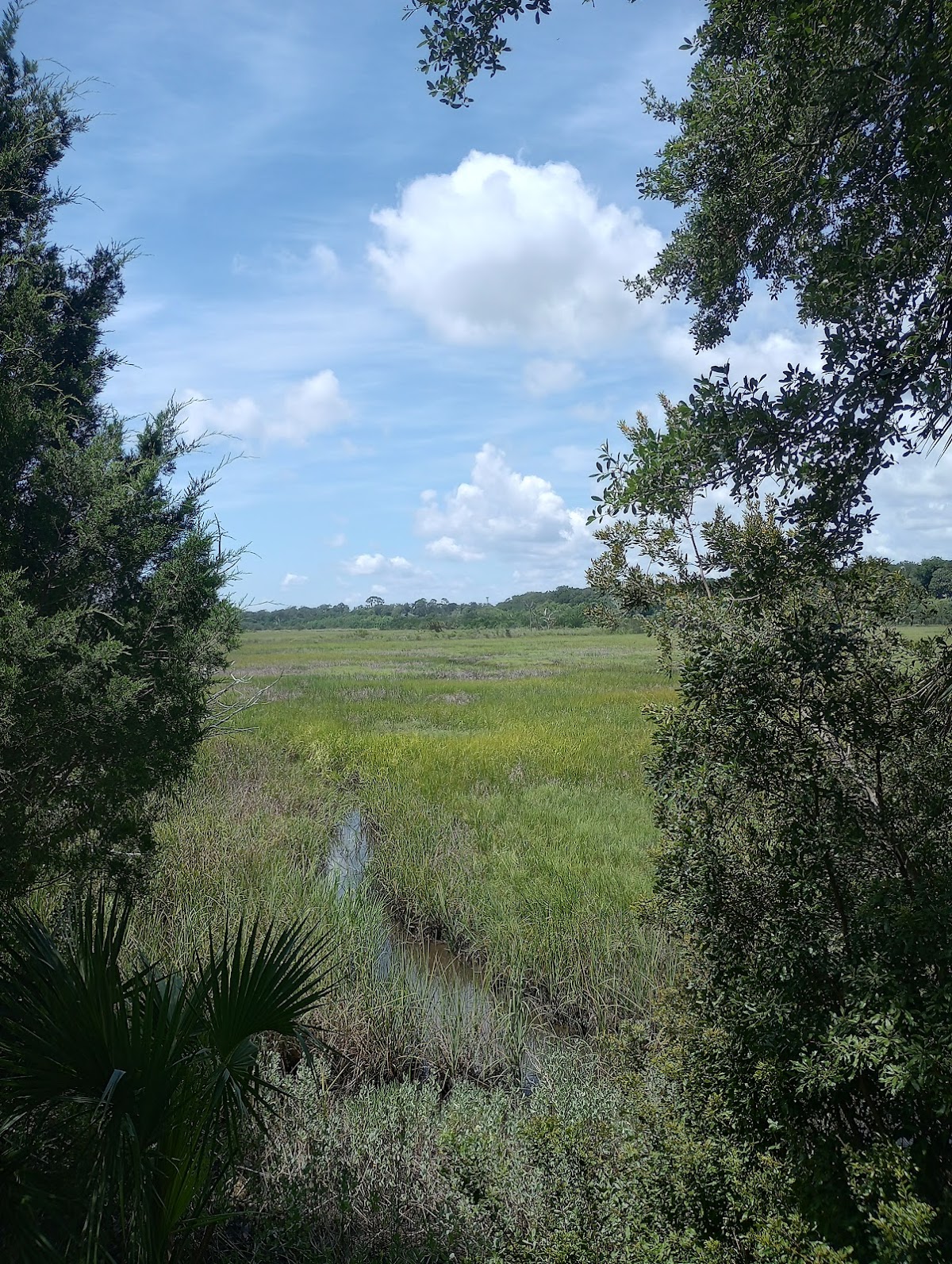 Egan's Creek Viewing Platform Photo 3