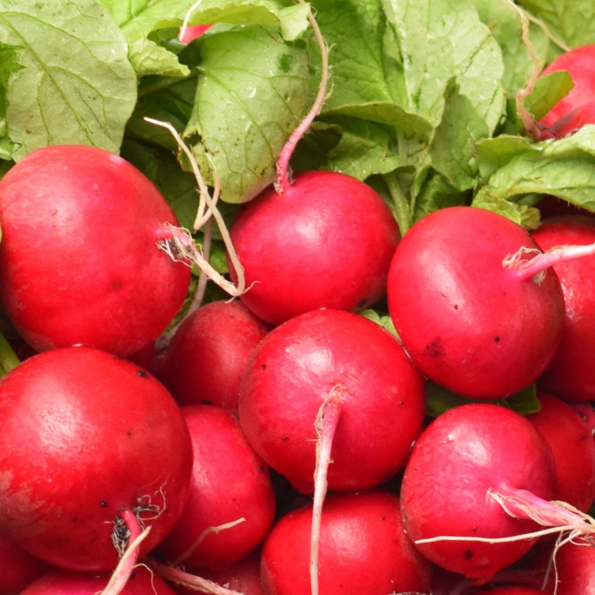 Fernandina Beach Market Place Photo 1