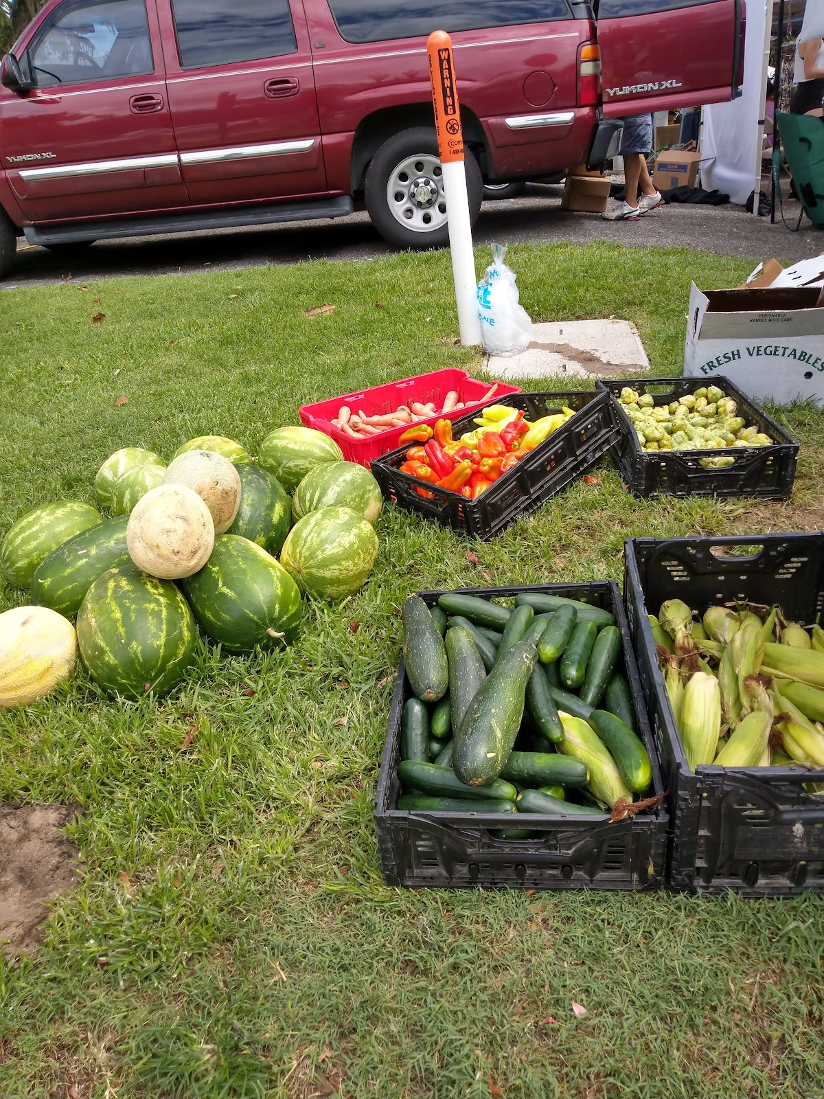 Fernandina Beach Market Place Photo 6