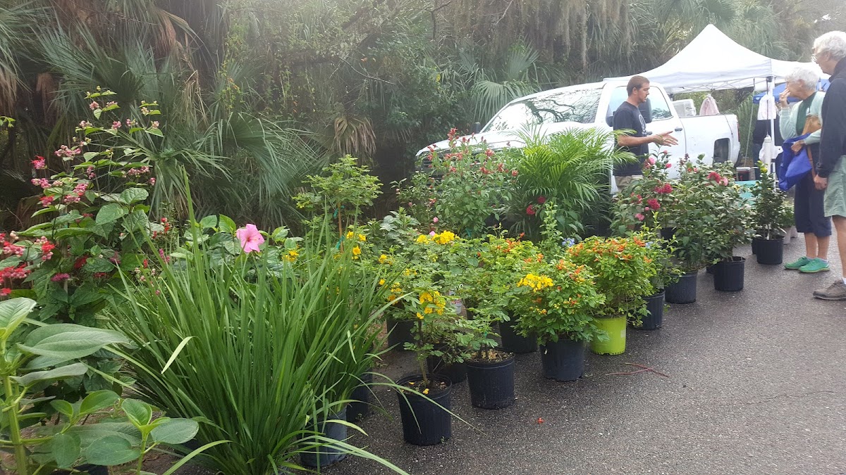 Fernandina Beach Market Place Photo 7