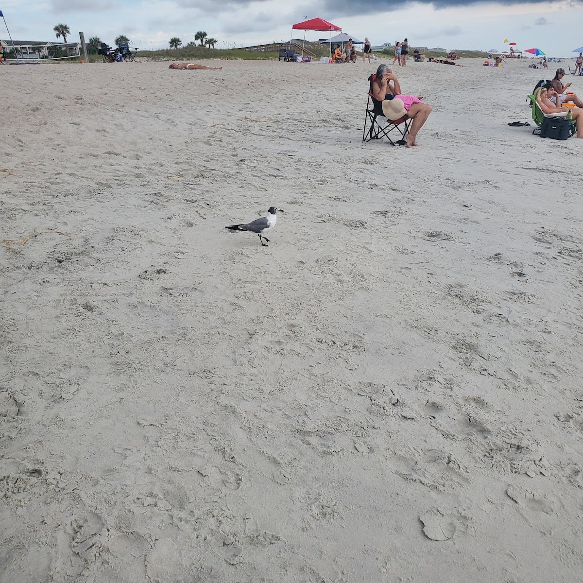 Fernandina Beach Skate Park Photo 9