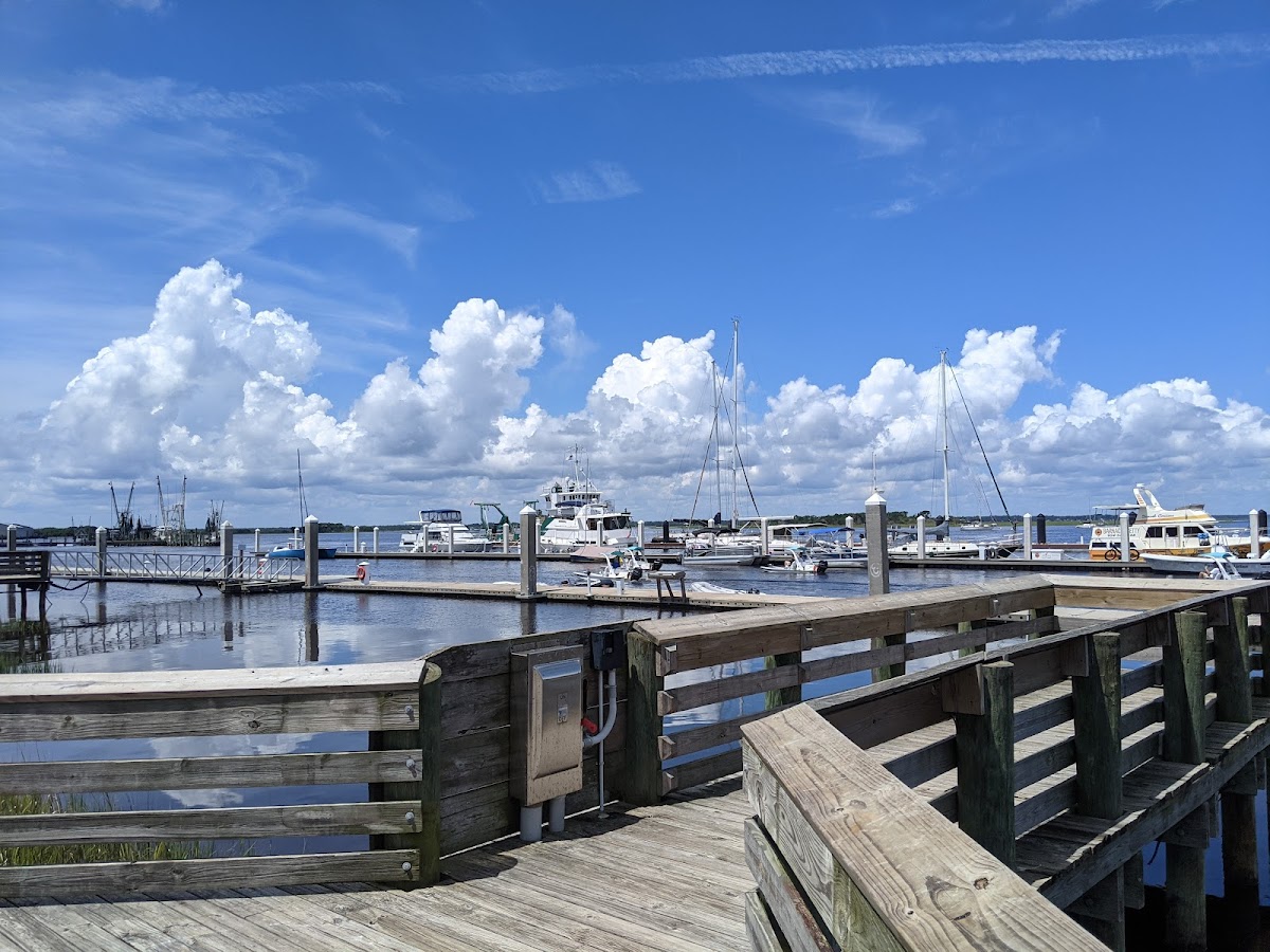 Fernandina Harbor Marina Photo 2