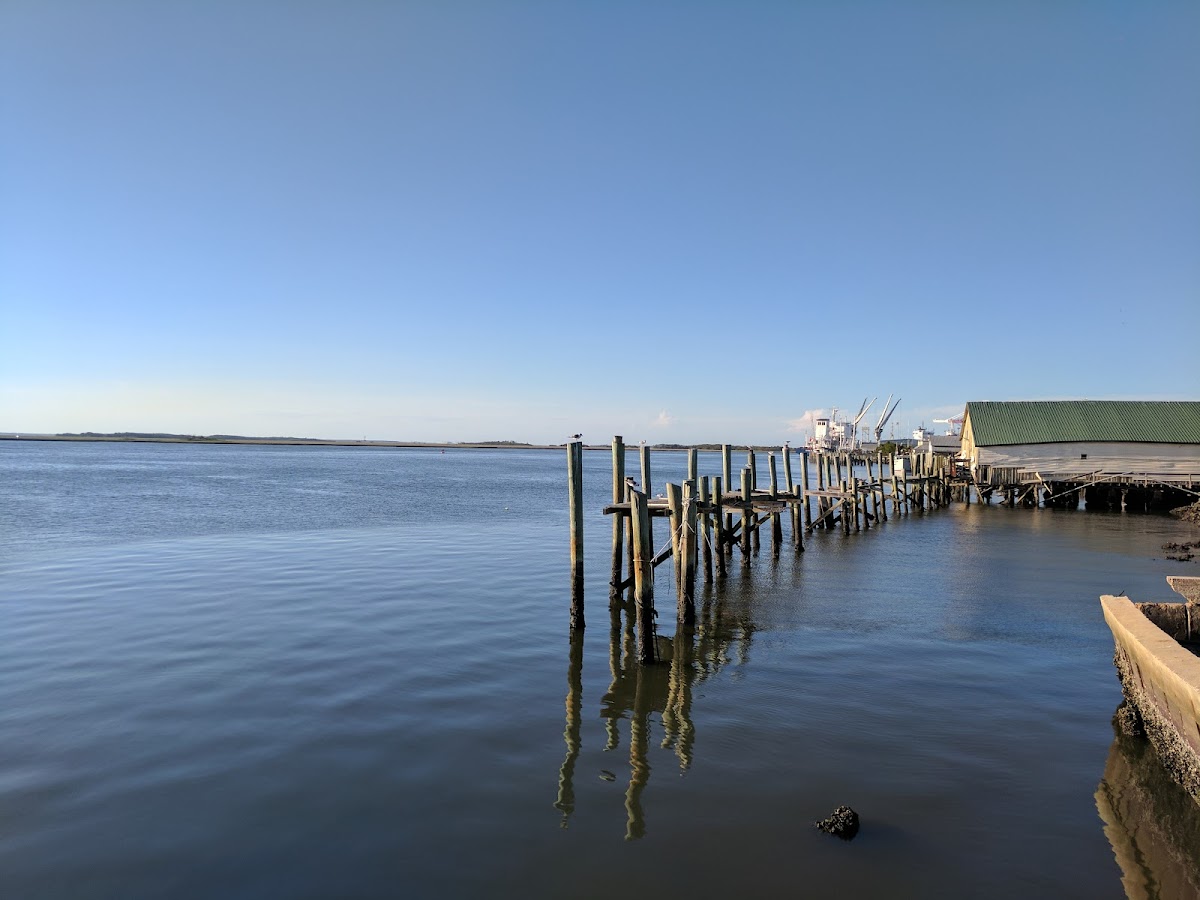 Fernandina Harbor Marina Photo 6