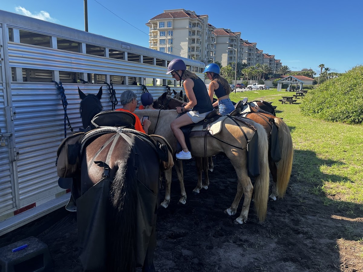 Happy Trails Walking Horses Photo 4