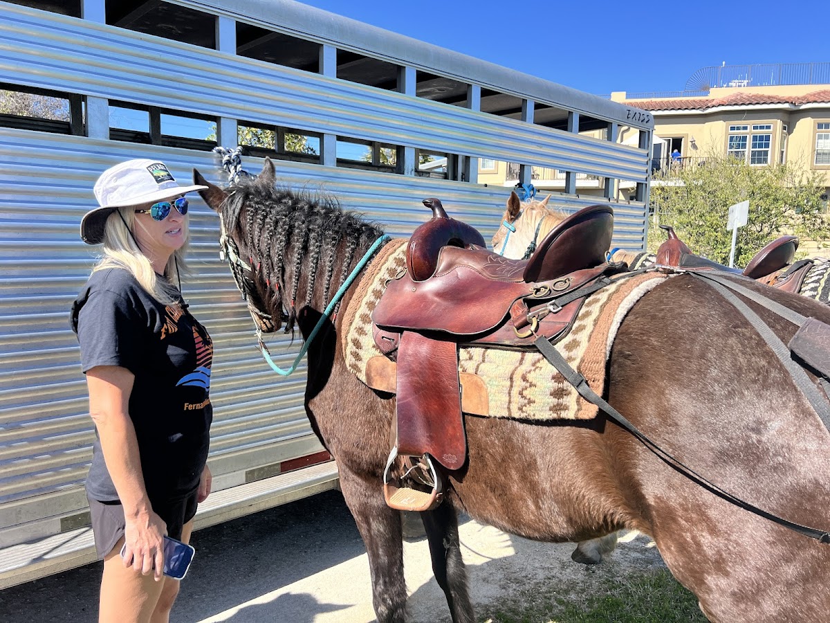 Happy Trails Walking Horses Photo 6
