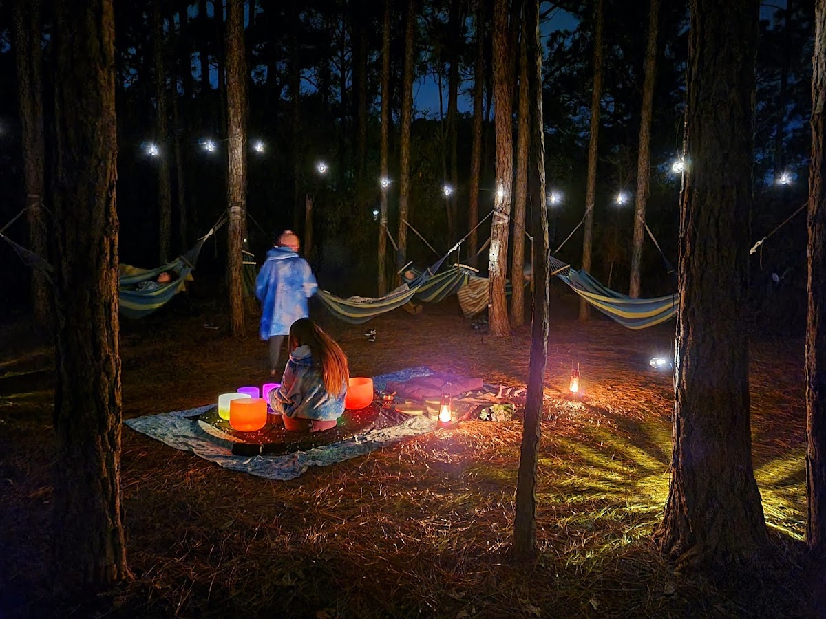 Jaybird Hammock Farm Photo 1