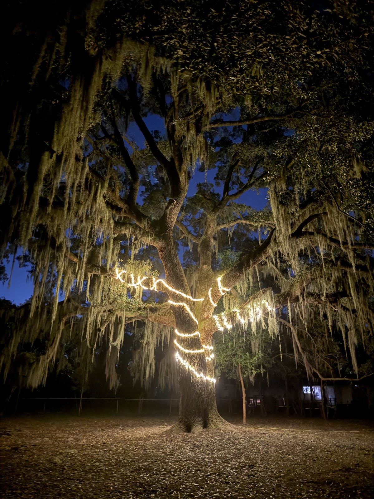 Jaybird Hammock Farm Photo 6