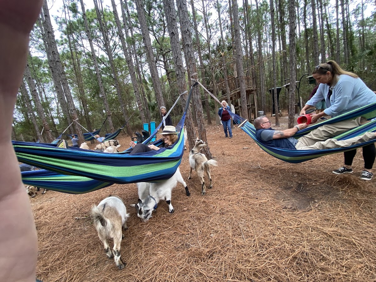 Jaybird Hammock Farm Photo 9