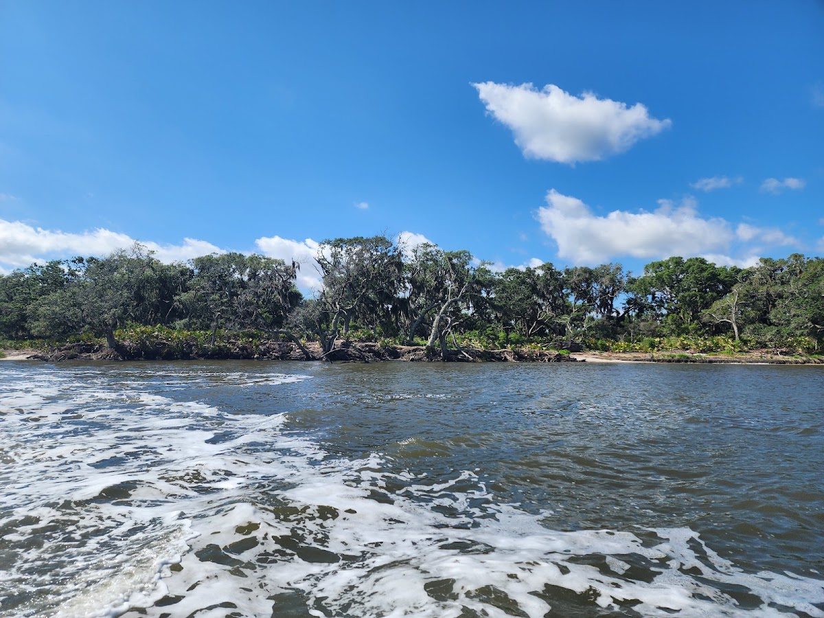Jet Ski Amelia Photo 5