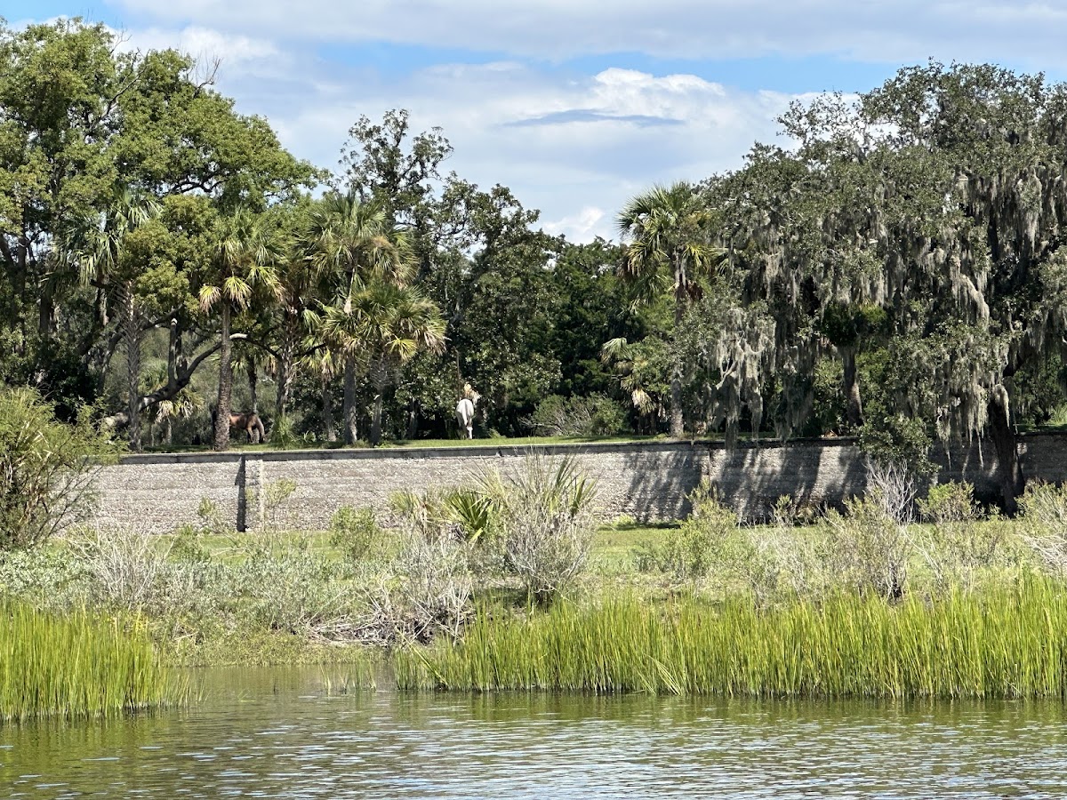 Jet Ski Amelia Photo 6