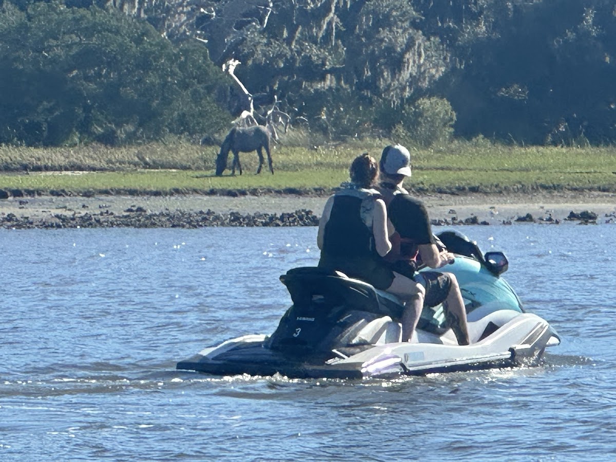 Jet Ski Amelia Photo 8