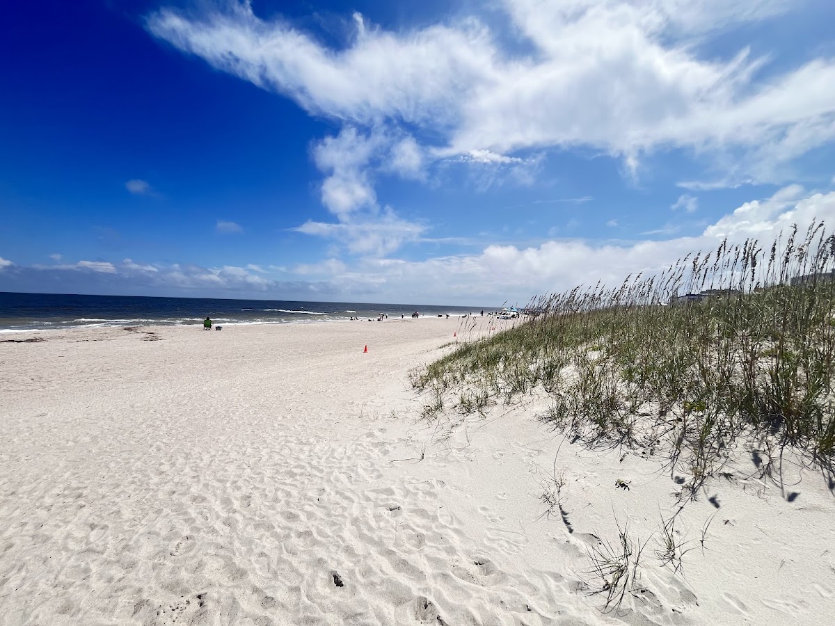 Main Beach Park Photo 6