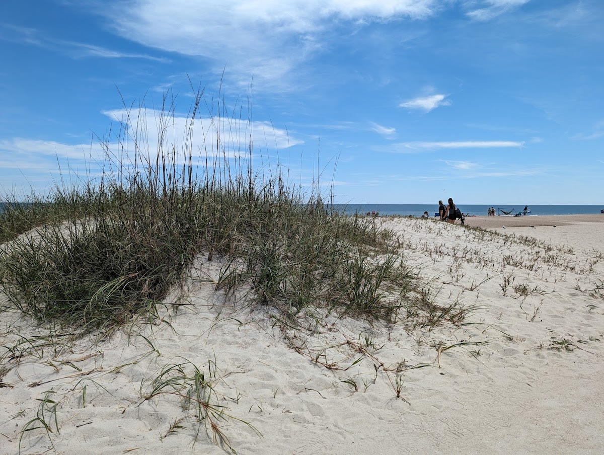 Main Beach Park Photo 9