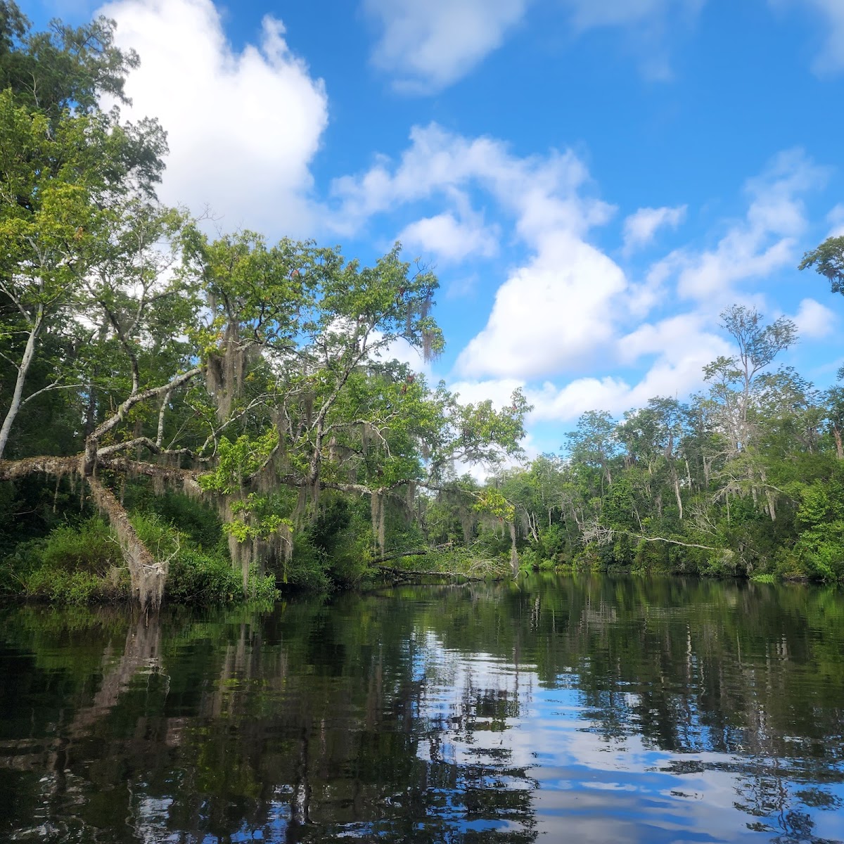 Paddle Jax Amelia Photo 5