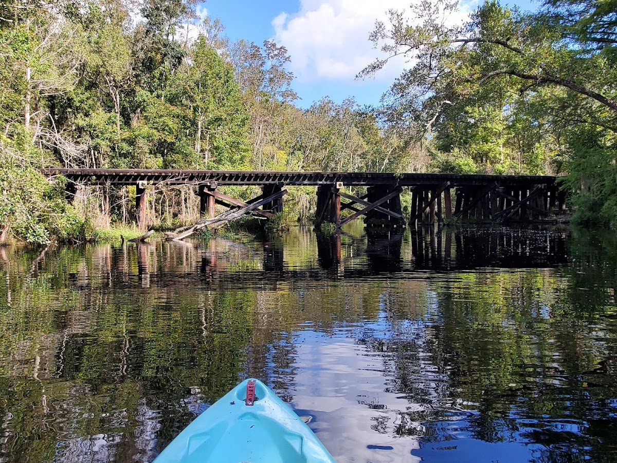 Paddle Jax Amelia Photo 7