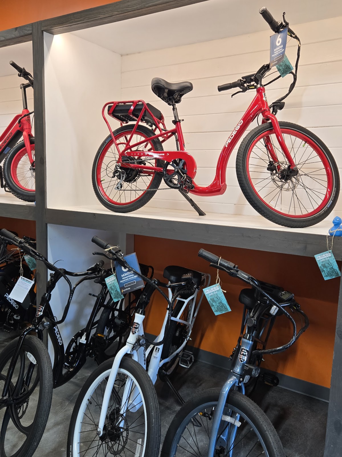 Pedego Electric Bikes Amelia Island Photo 9