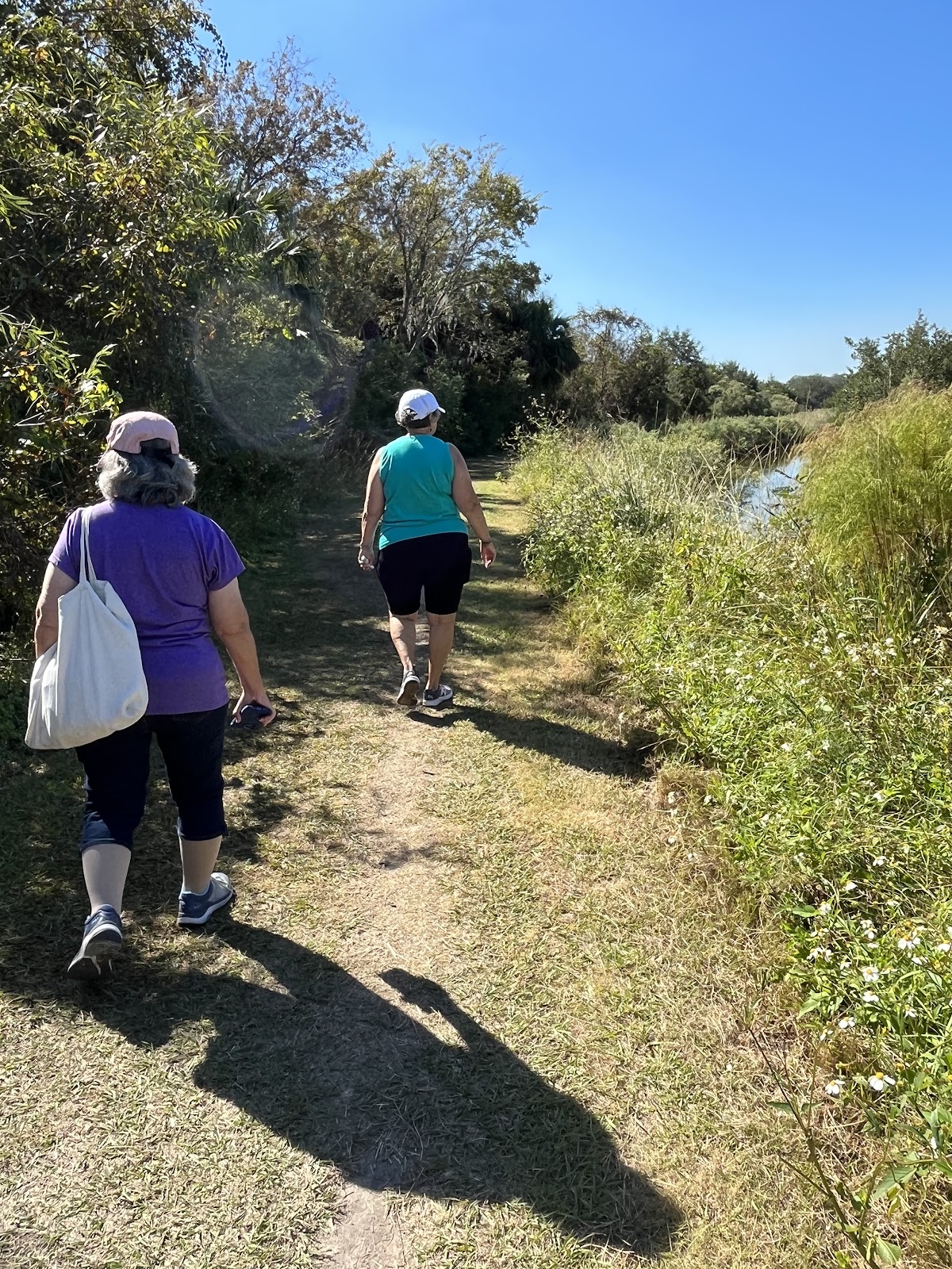Pirate Playground Photo 7