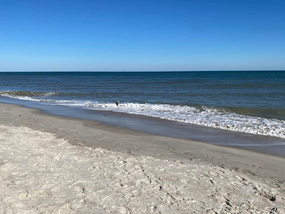 Seaside Park Photo 4