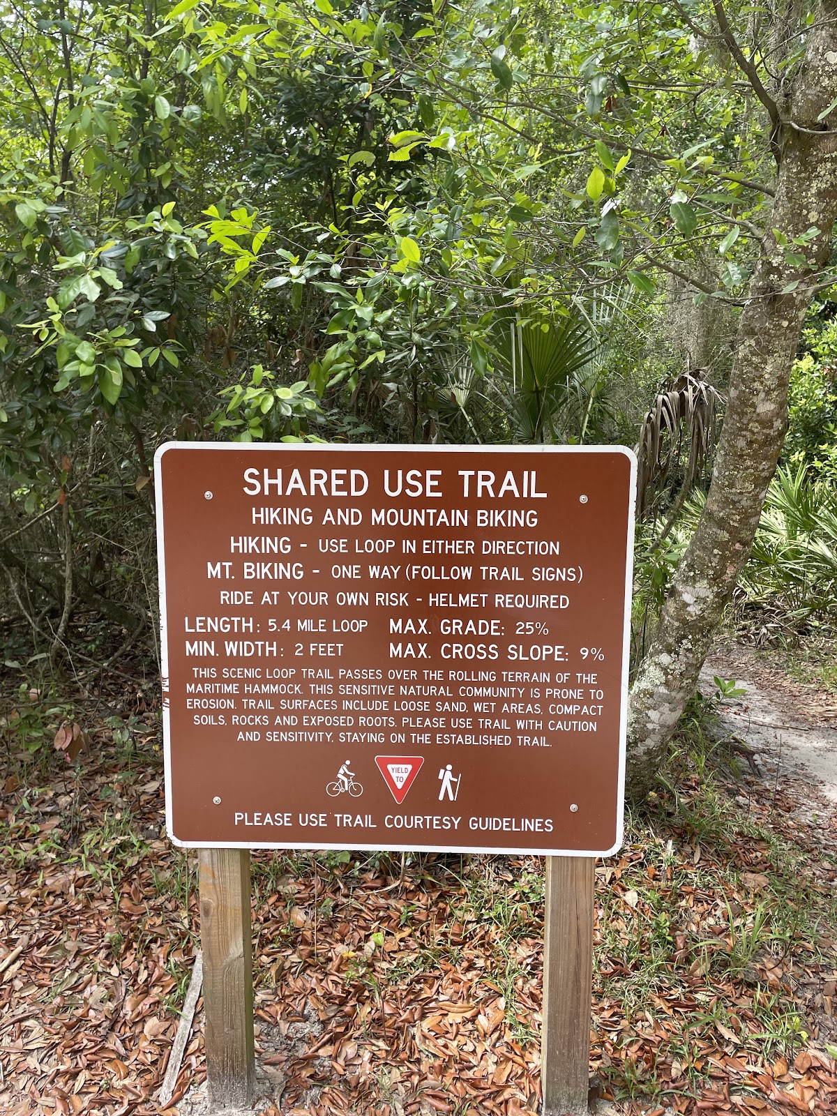 Willow Pond Nature Trail