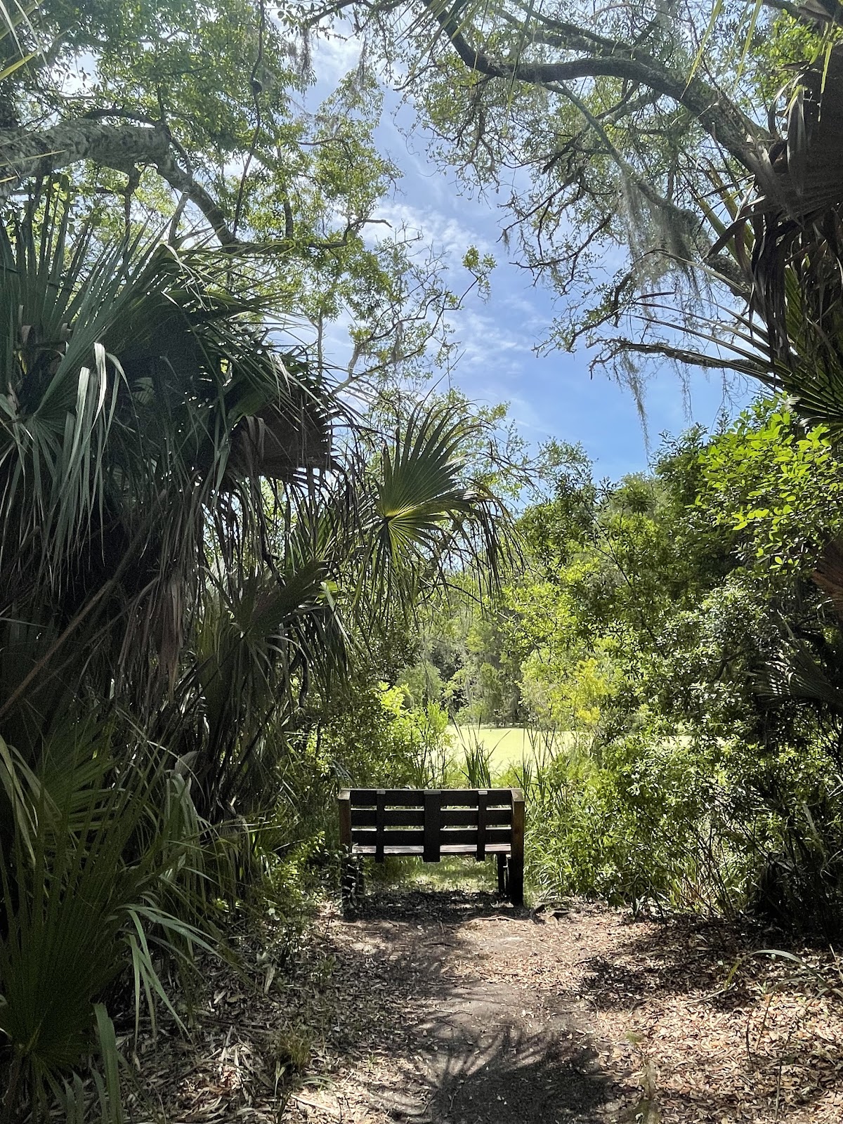 Willow Pond Nature Trail Photo 1