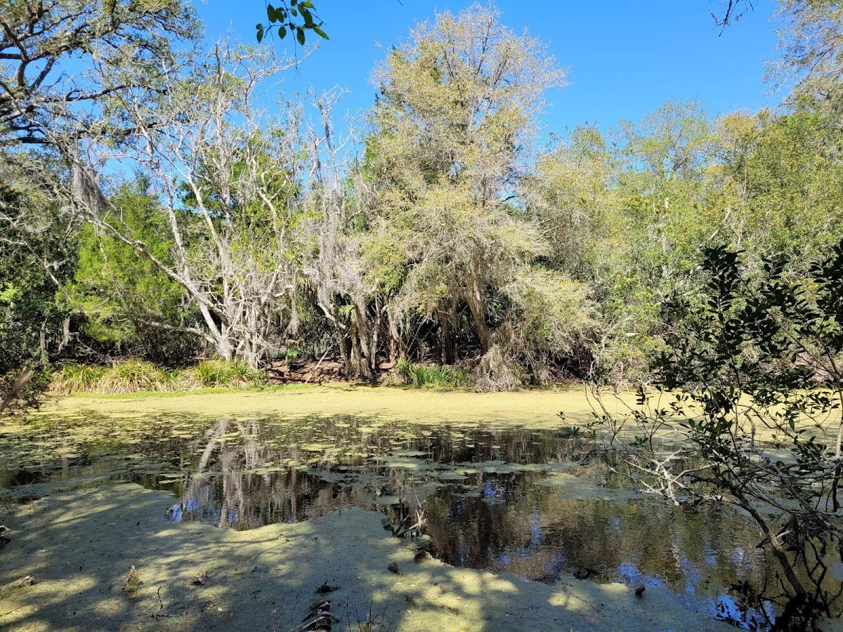 Willow Pond Nature Trail Photo 5
