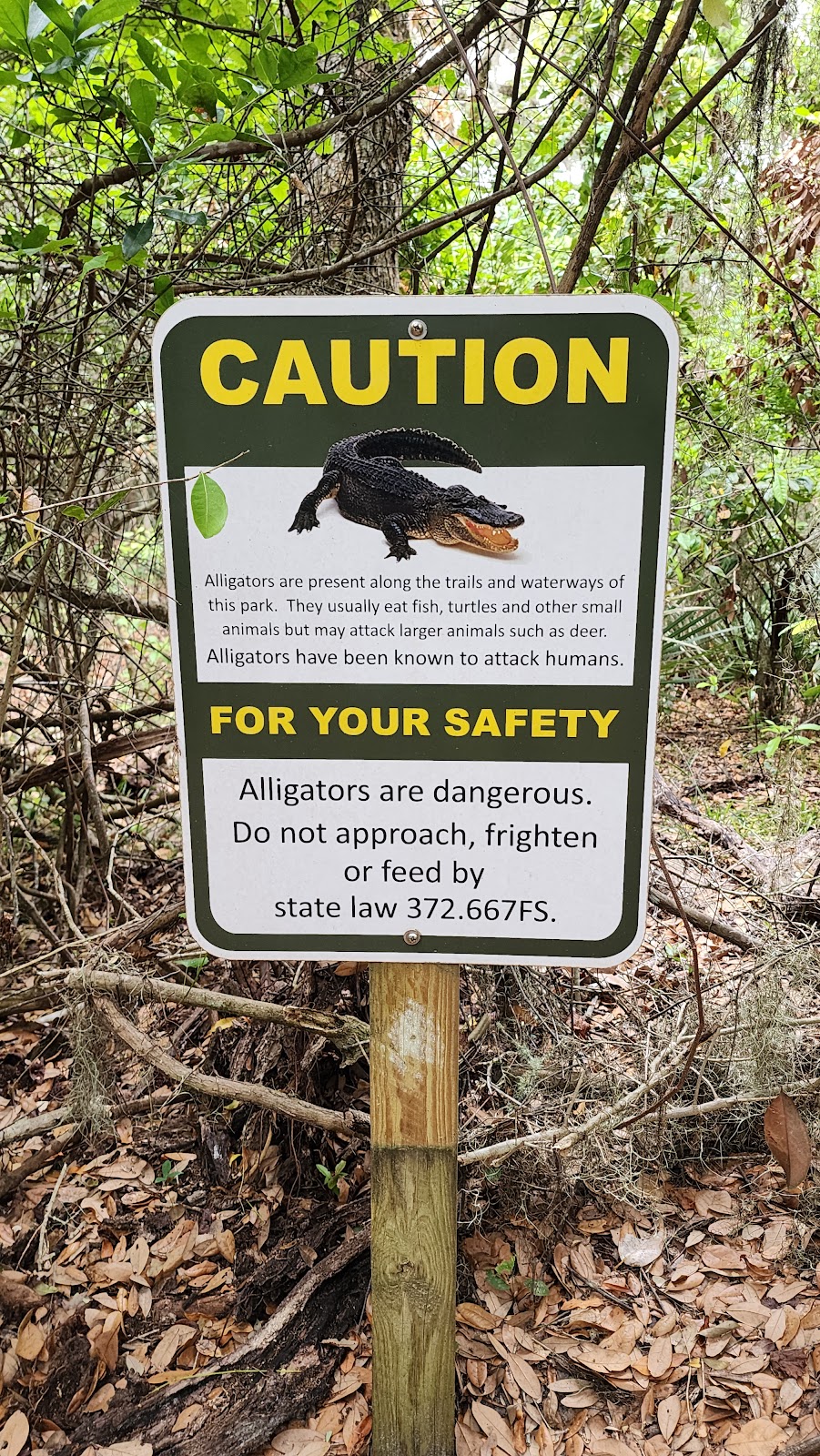 Willow Pond Nature Trail Photo 6