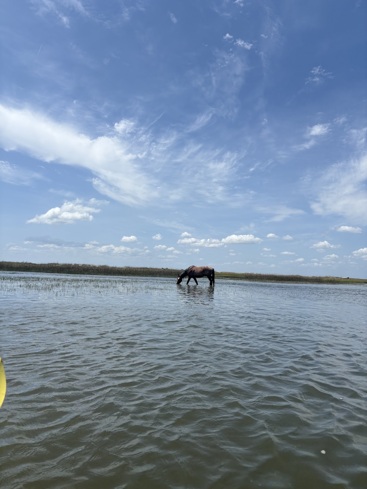 Amelia Adventures Photo 2