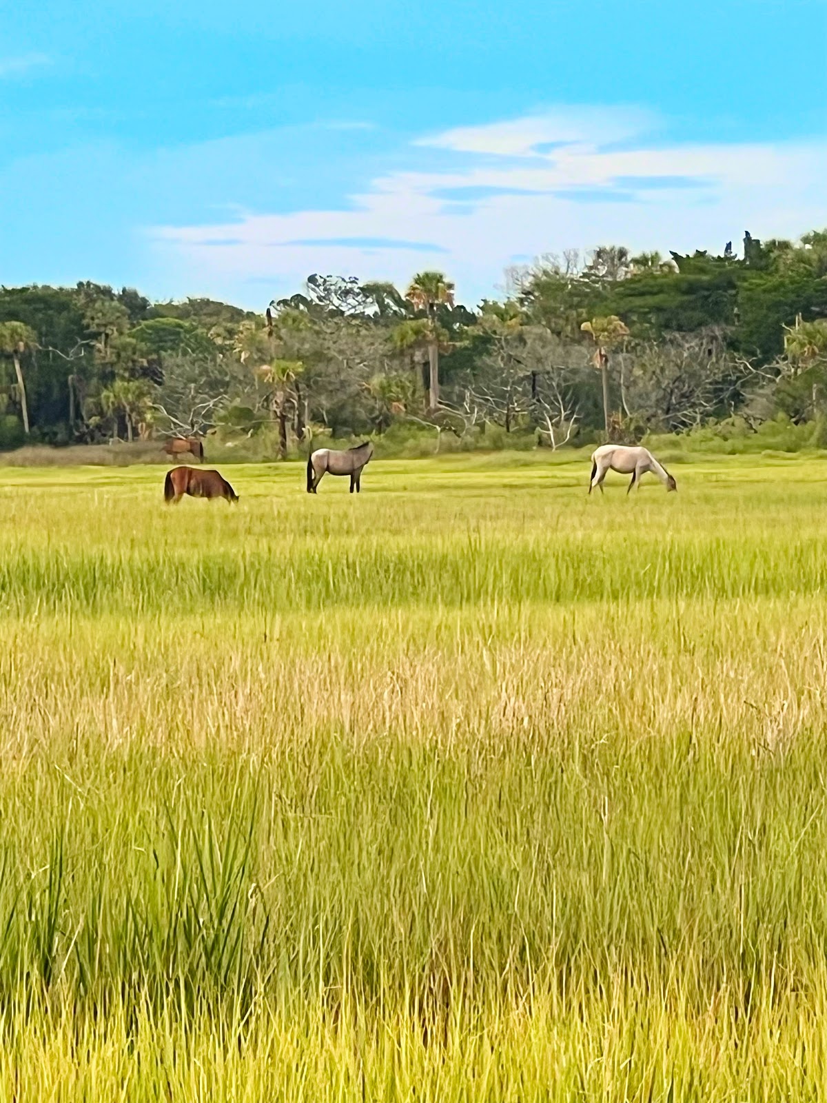 Amelia Adventures Photo 3