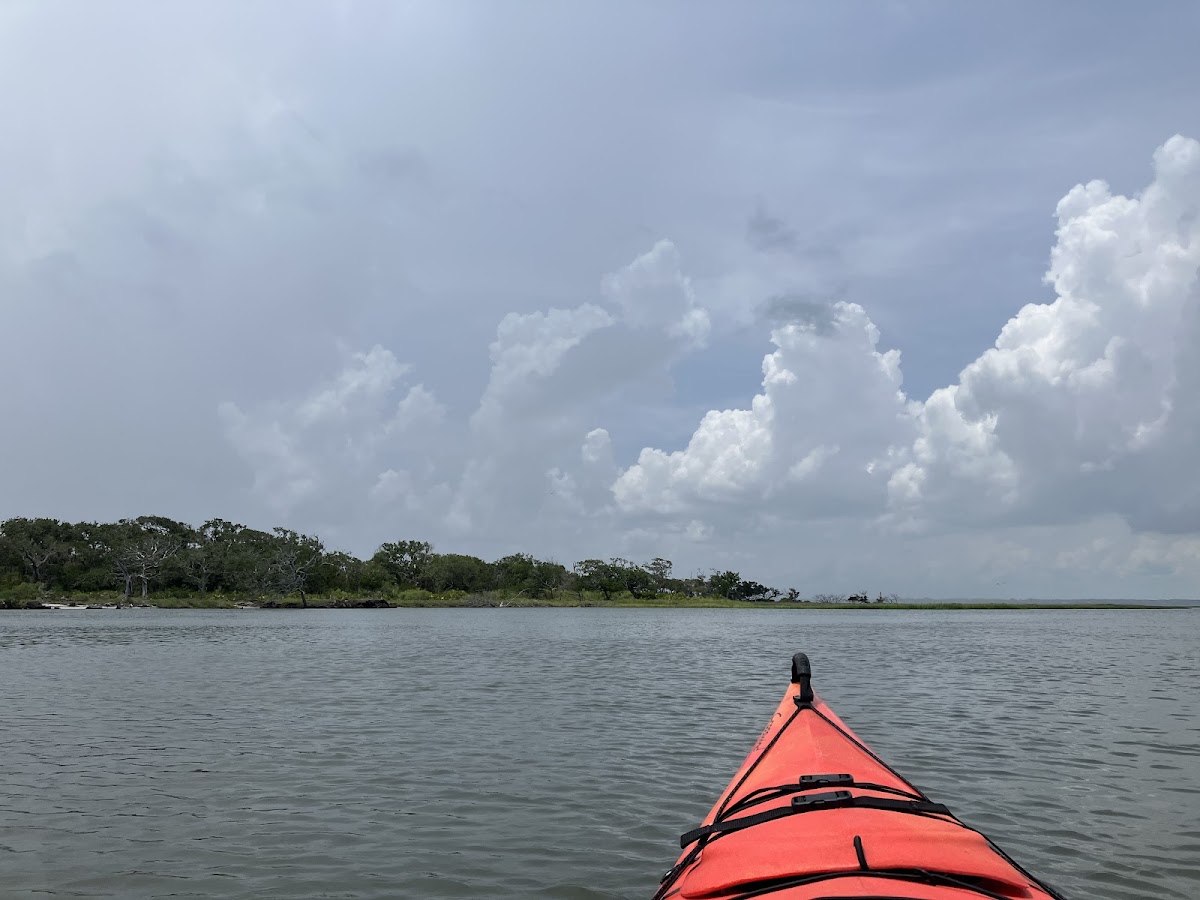 Amelia Island Kayak Excursions Photo 2