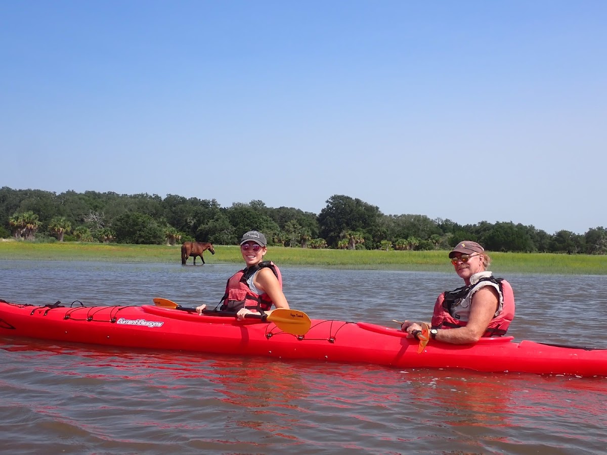 Amelia Island Kayak Excursions Photo 3