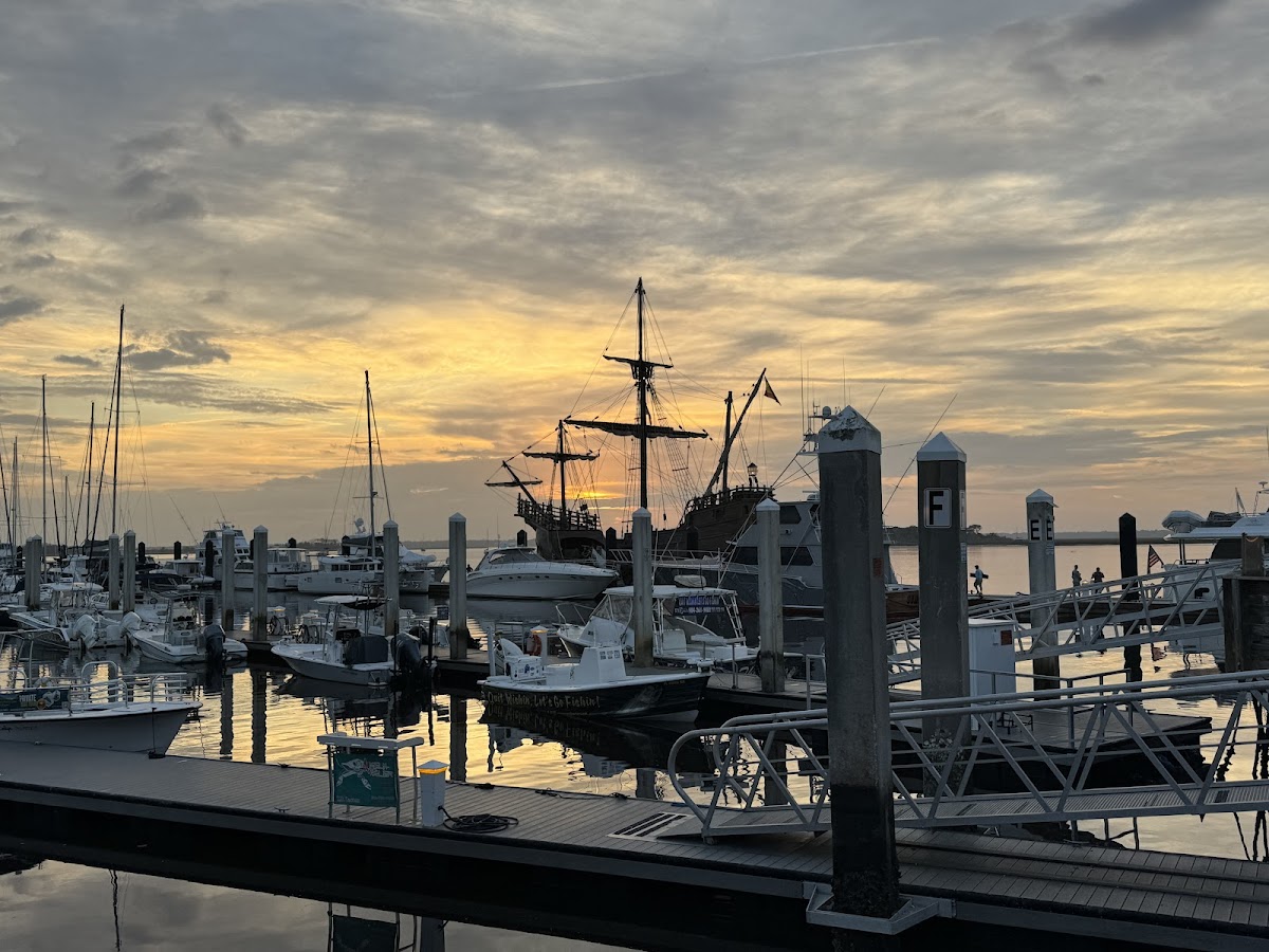 Cruisin Tikis Amelia Island Photo 6