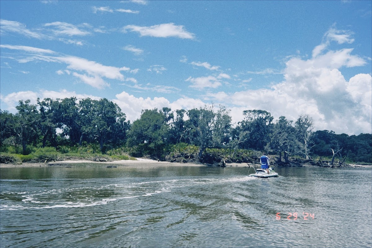 Evolution Jetsports (Jet Ski Eco Tours - Amelia Island) Photo 9