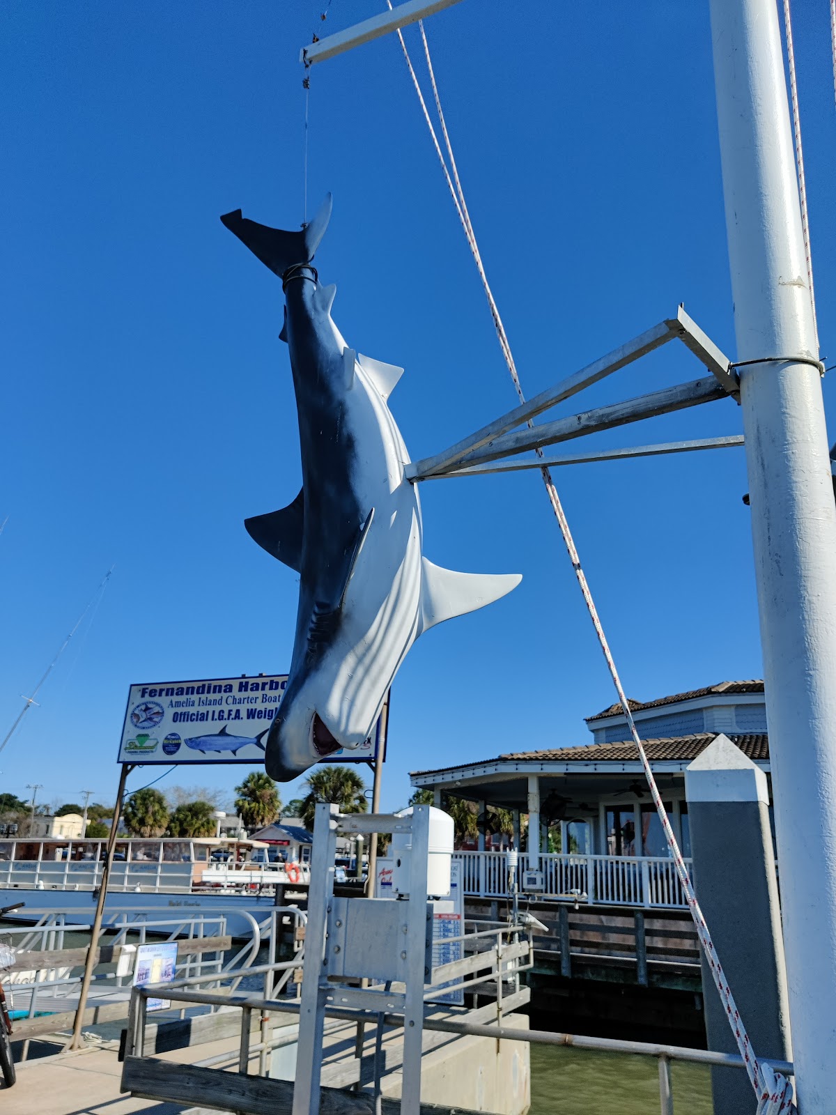 Fernandina Harbor Marina Photo 8