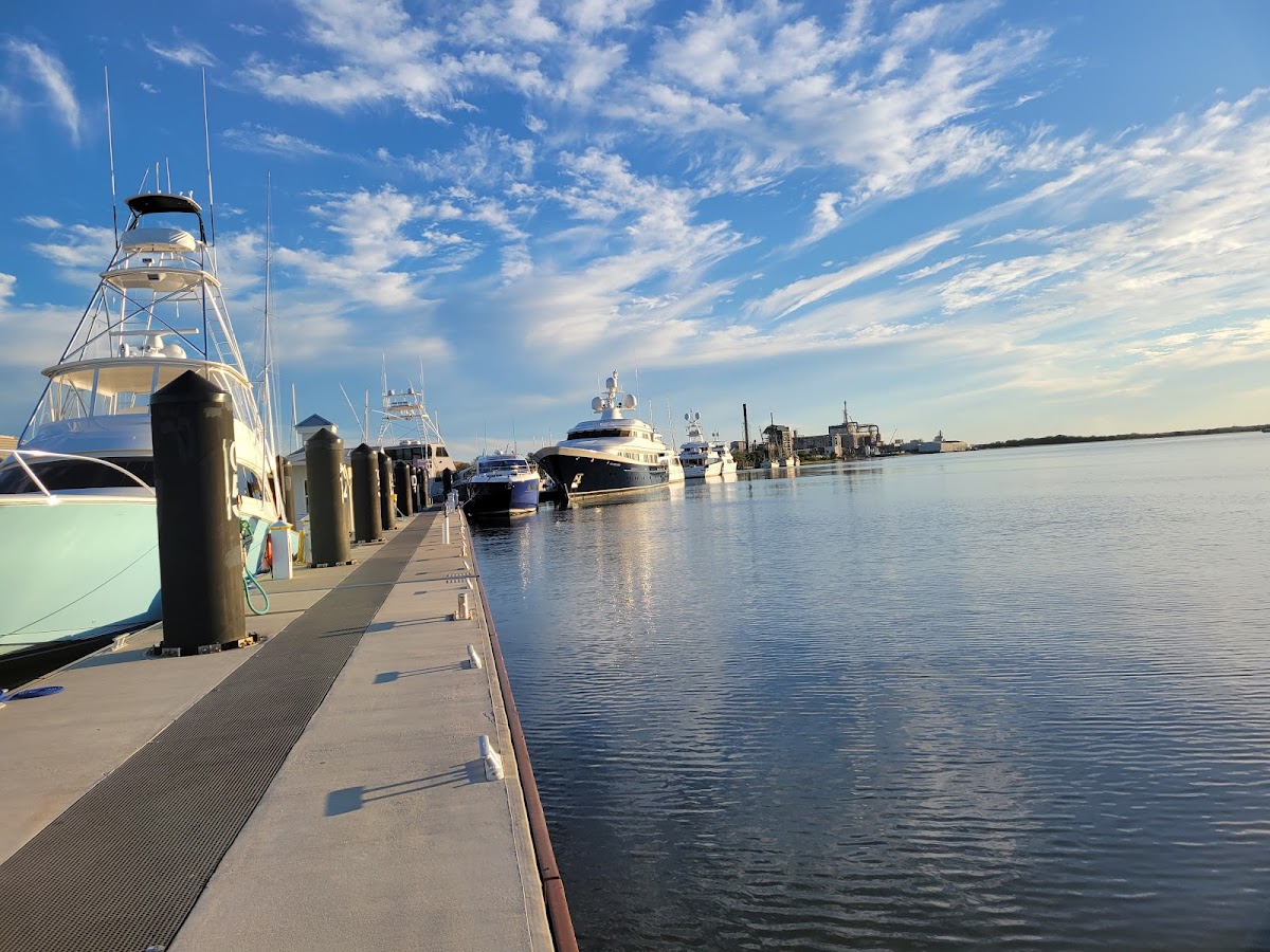 Fernandina Harbor Marina Photo 9