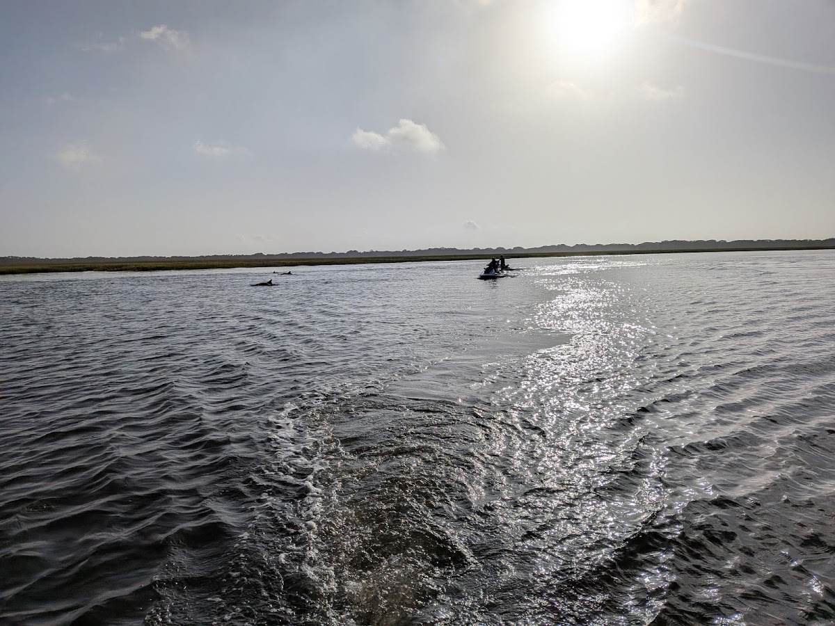 Jet Ski Amelia Photo 3