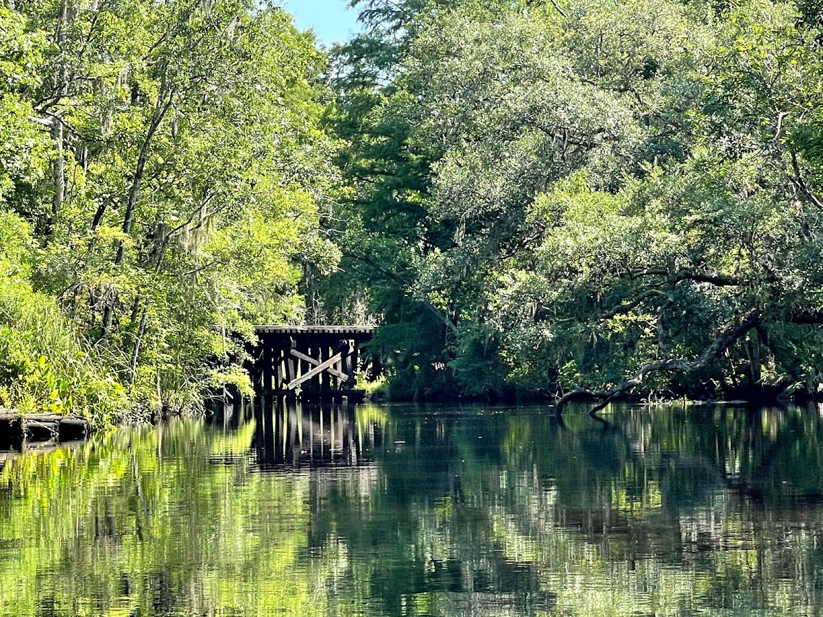 Paddle Jax Amelia Photo 4