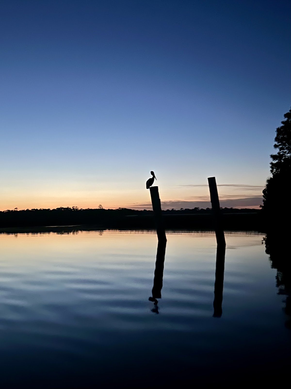 PADL - Amelia and Talbot Islands Photo 7